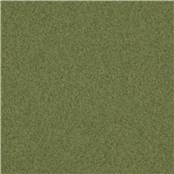 Wardrobe_Hedge