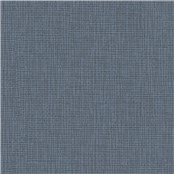 Winfield_Iris