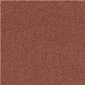 Winston_Copper