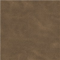 English Leather Aurora, Non Woven Fabrics | Architex