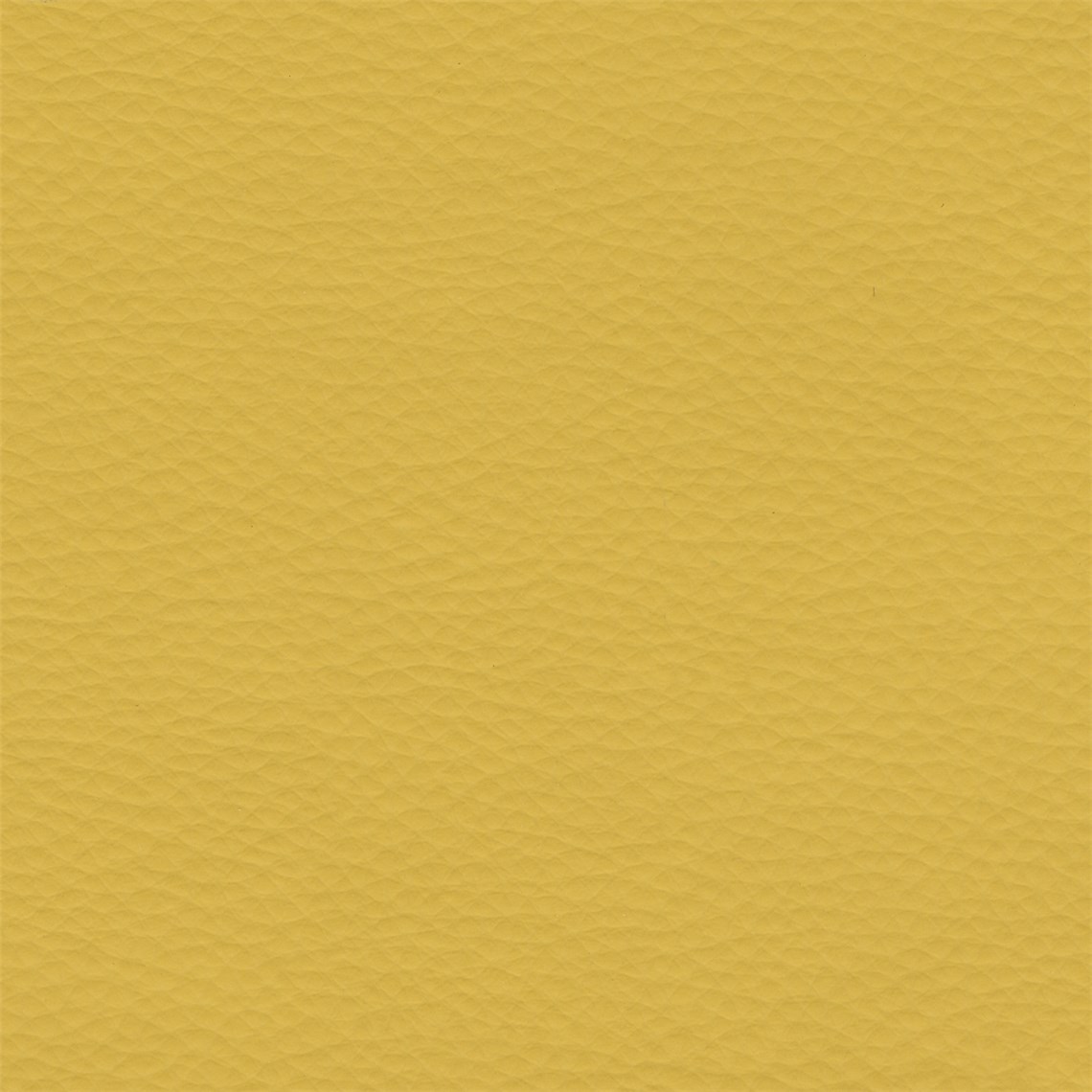 Abracadabra_Golden
