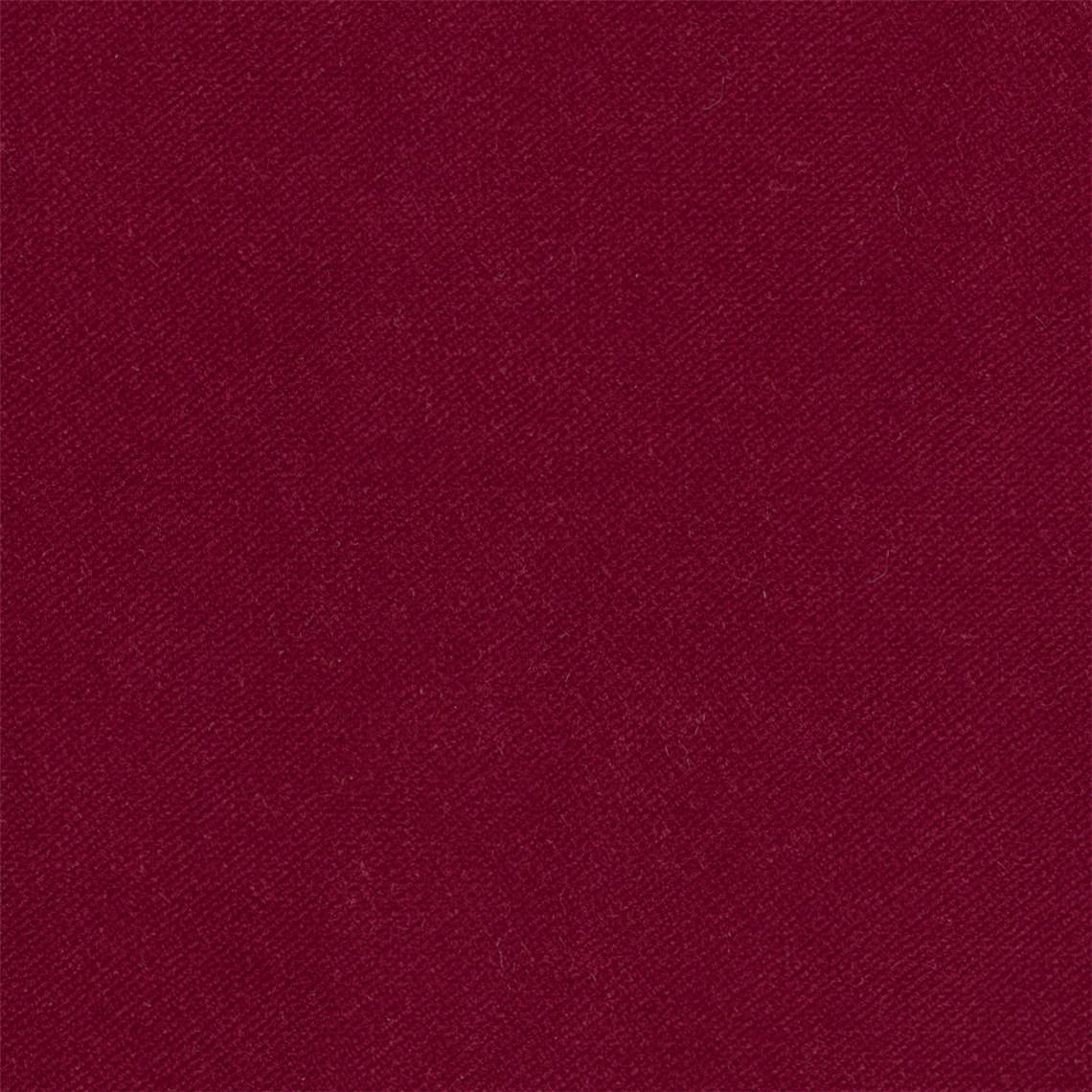 Admiral_Scarlet