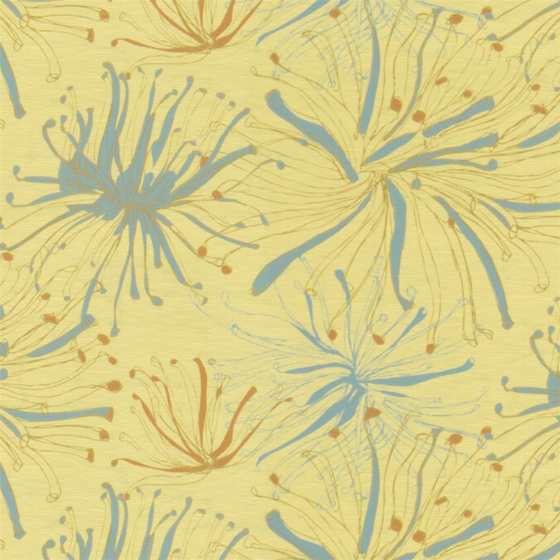 Anemone_Vitalize