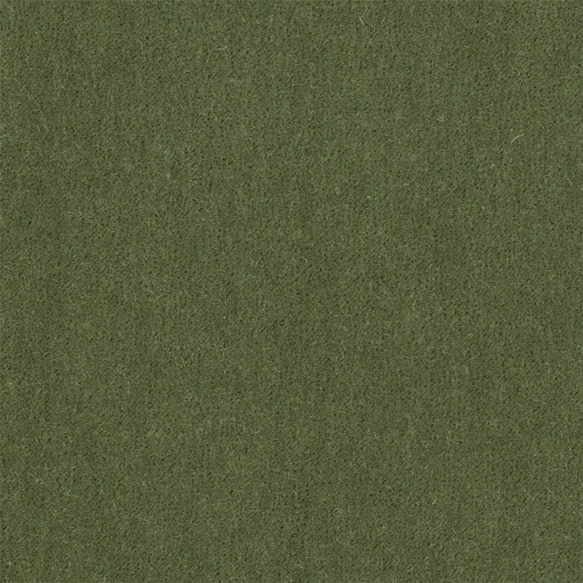 Angora_Mohair_Forest