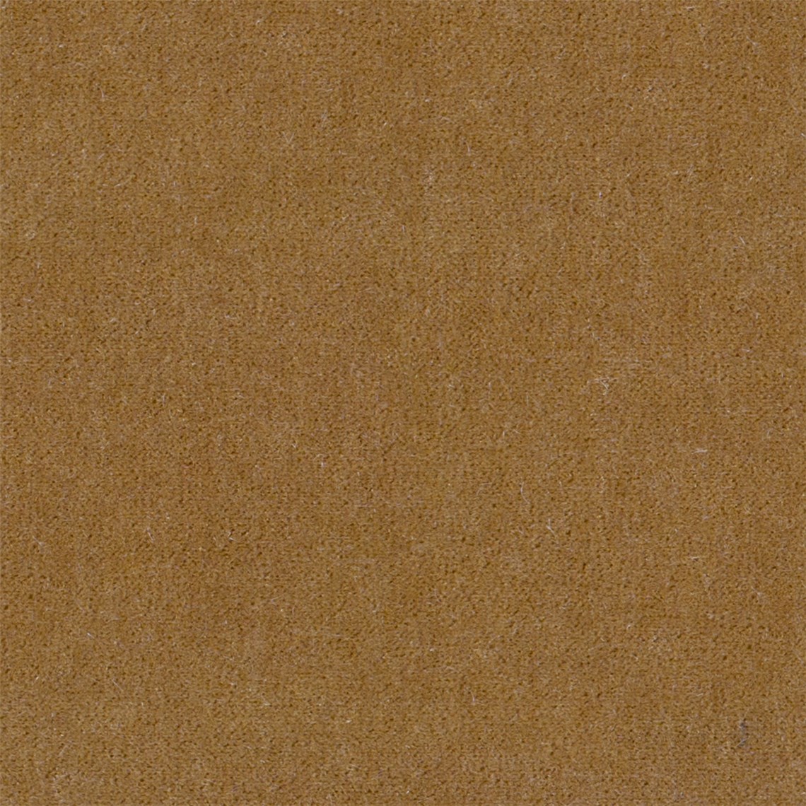 Angora_Mohair_Quartersawn