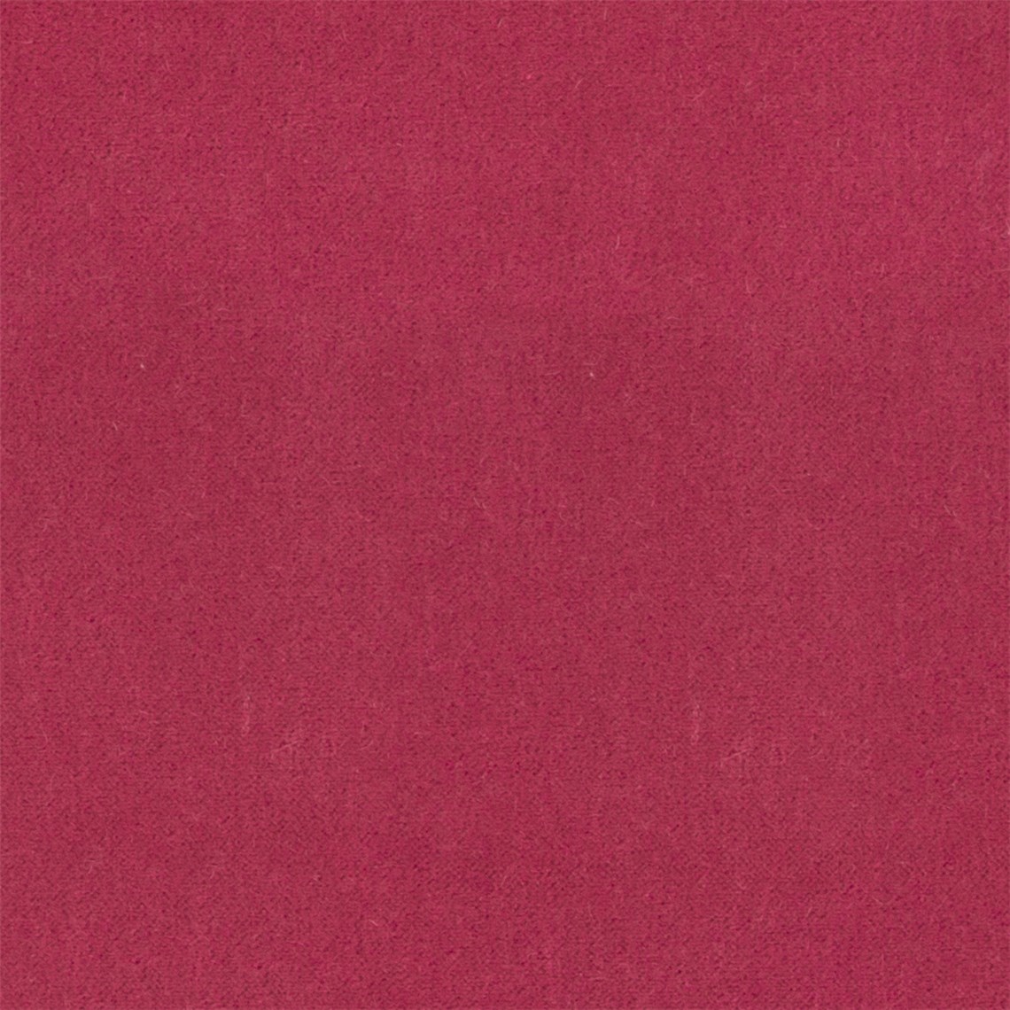 Angora_Mohair_Radish