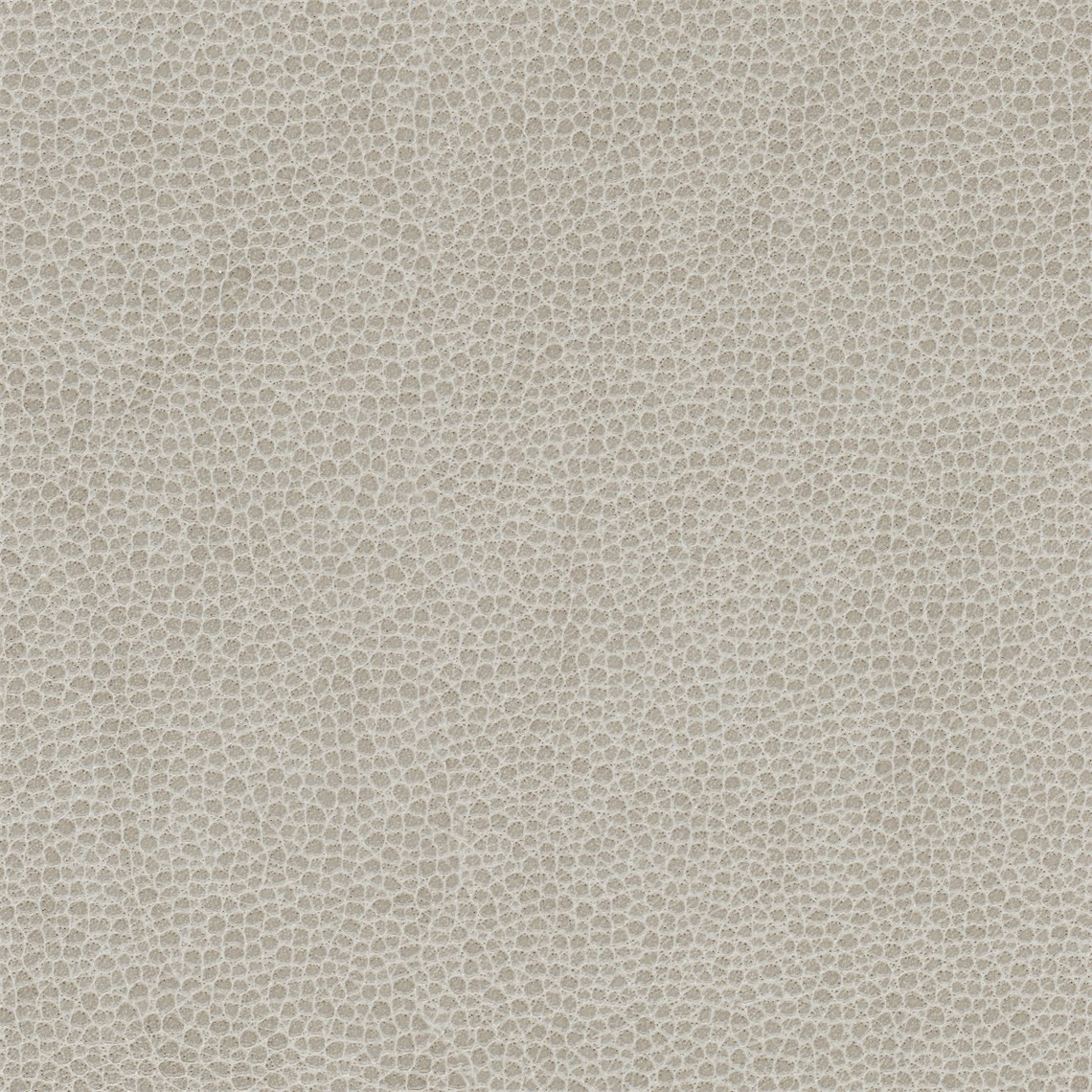 Animal_Elephant