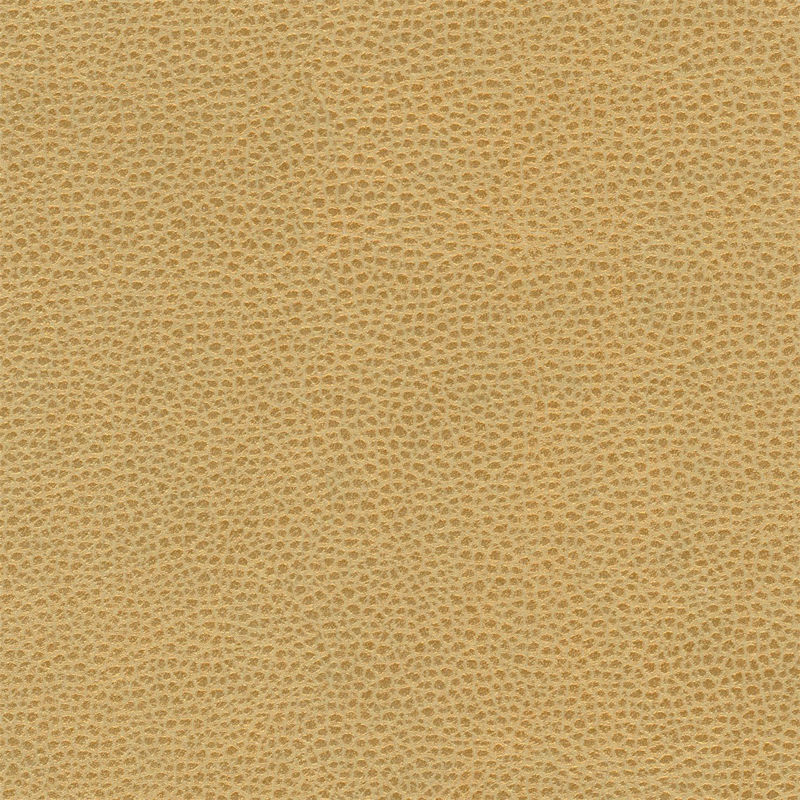 Animal_Lion