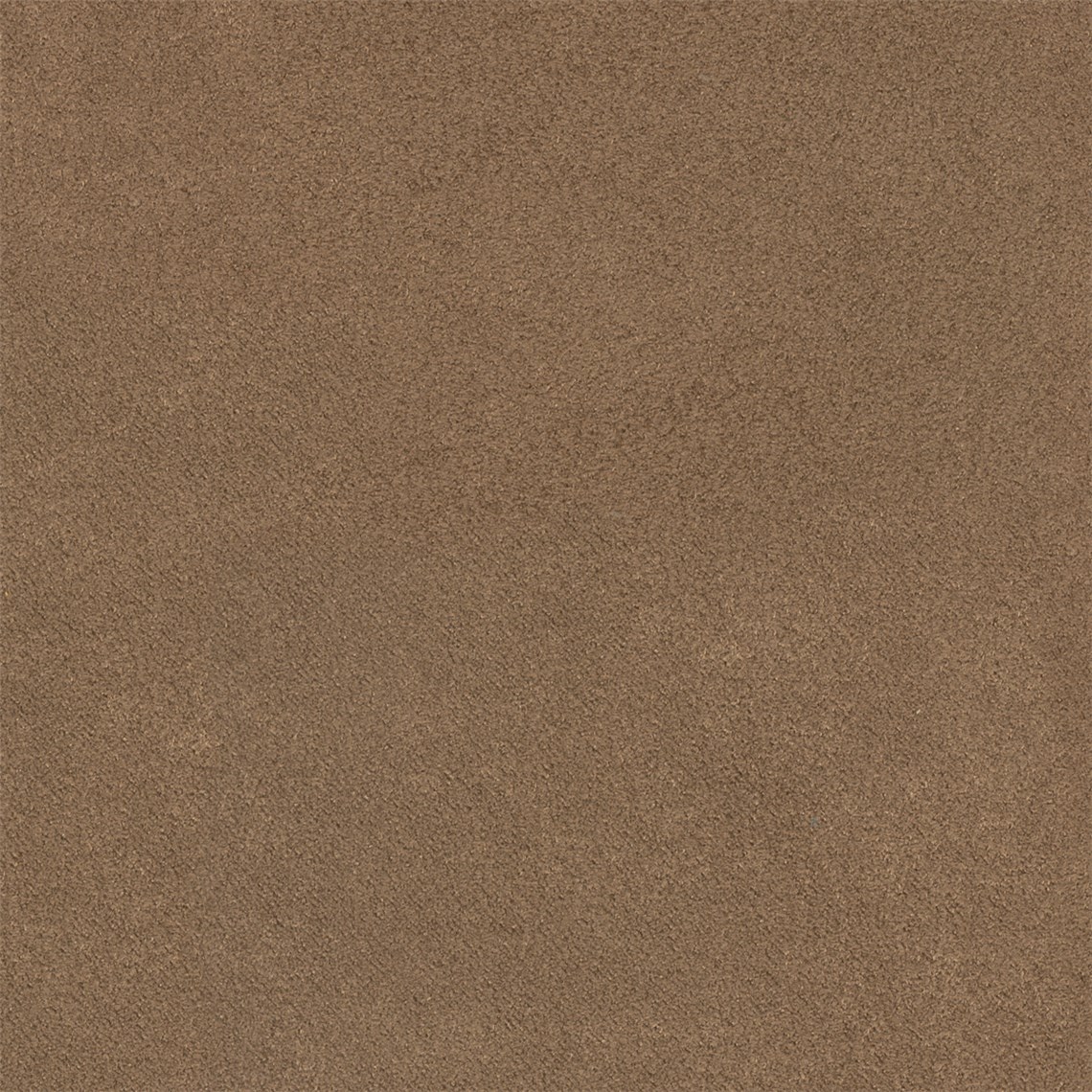 Antico_Bronze