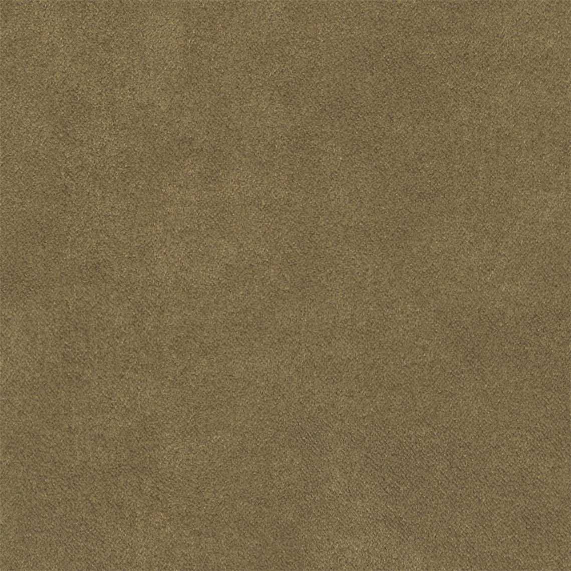 Antico_Hazelnut