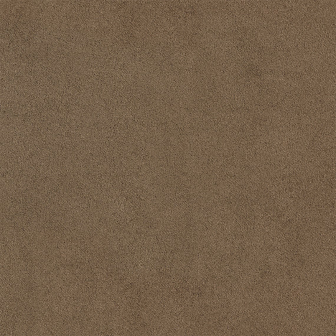 Antico_Hickory