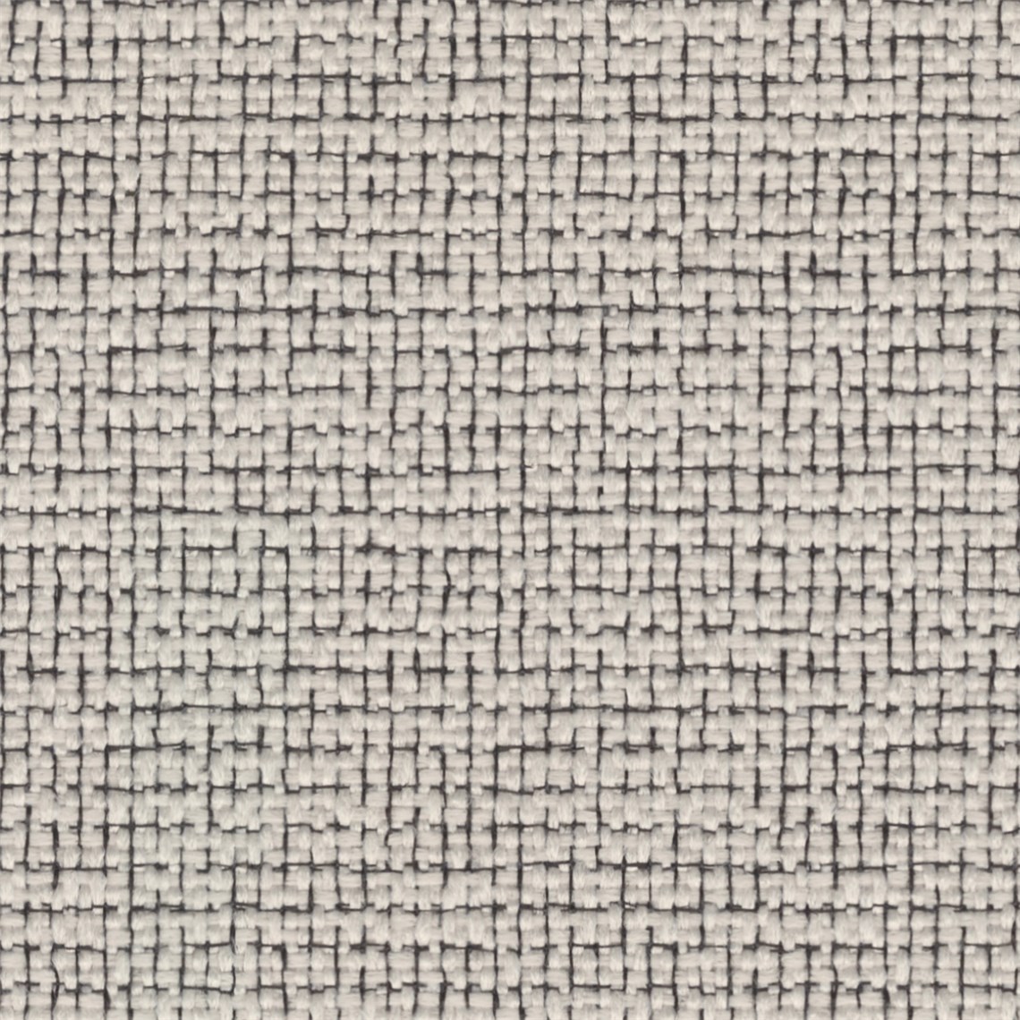 Apella_Blanc