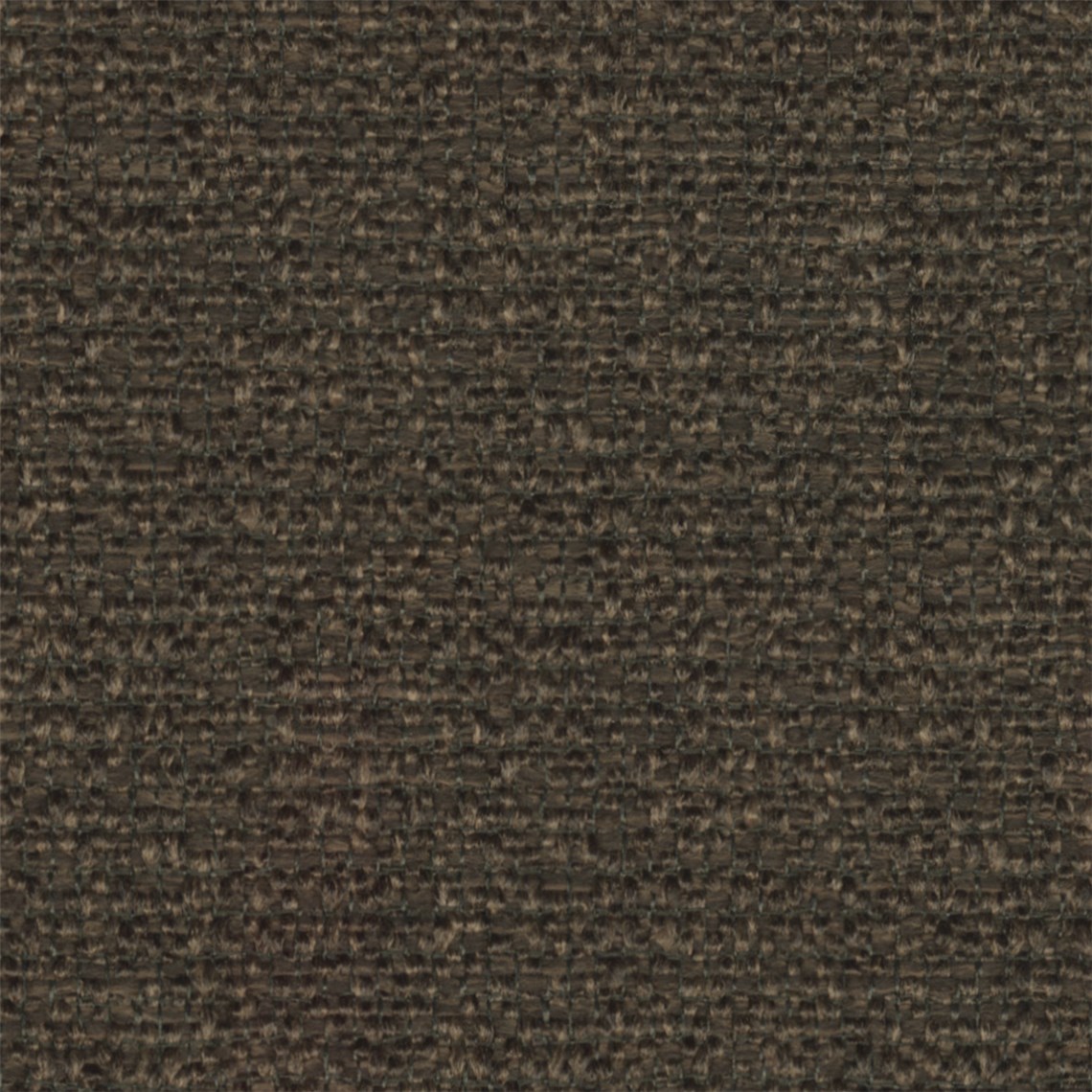 Apella_Brun