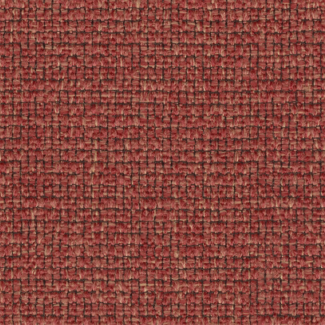 Apella_Tomato