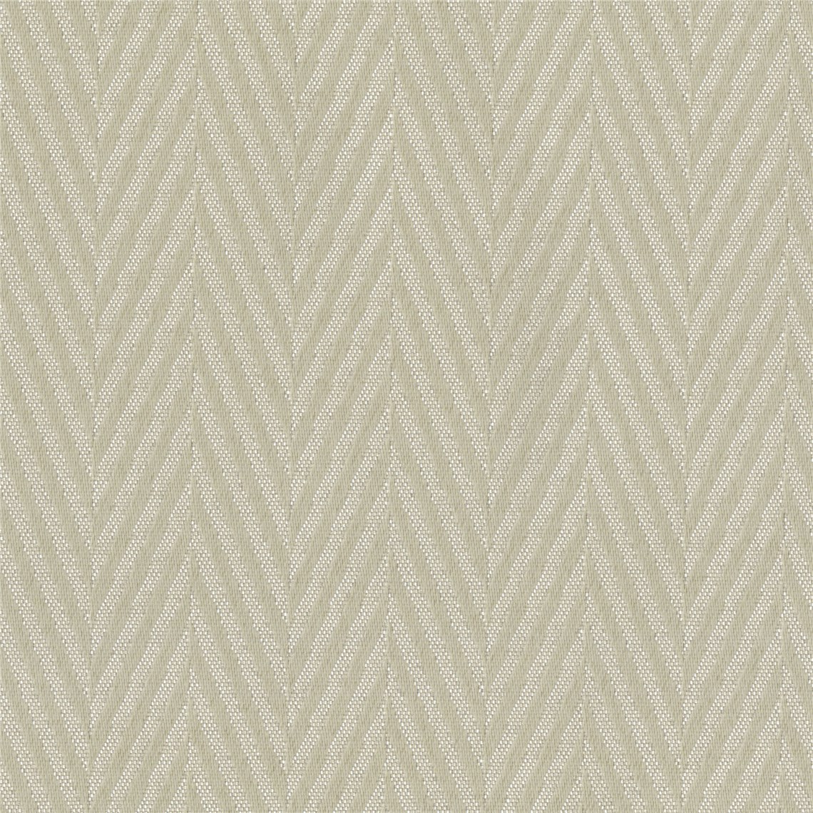 Beauty_Sleep_Parchment