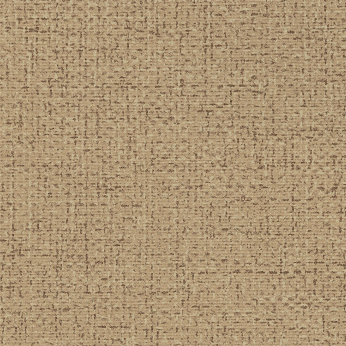 Bergen_Biscotti
