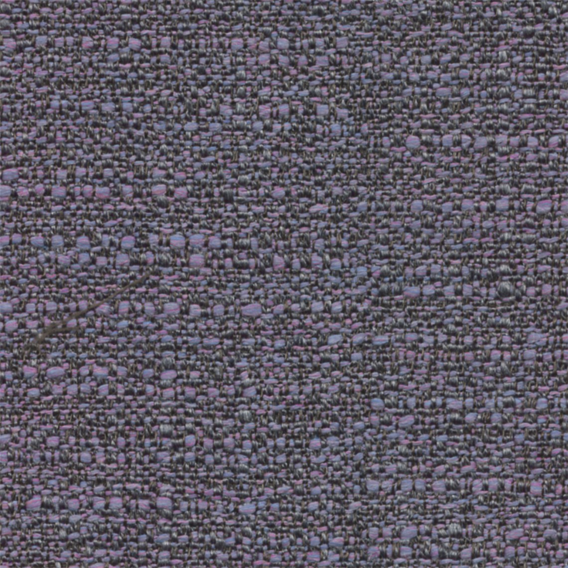 Bergerac_Lilac
