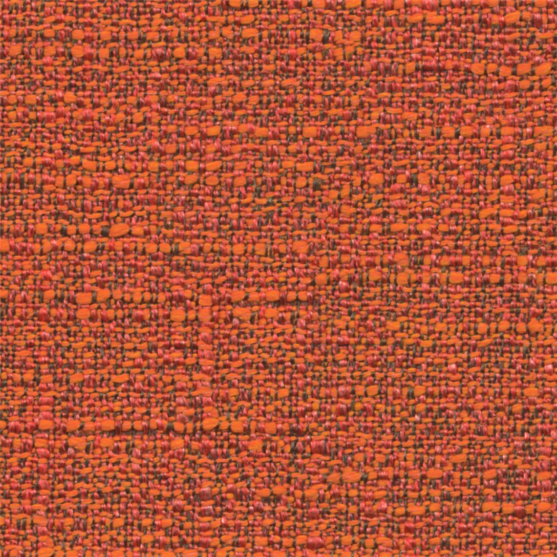 Bergerac_Poppy