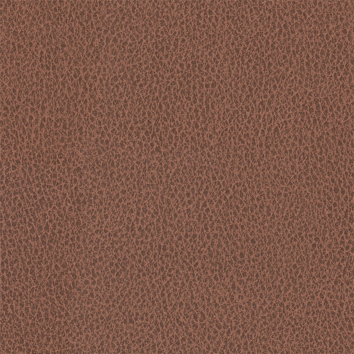 Biograin_Blaze