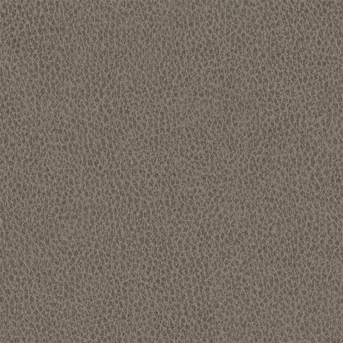 Biograin_Sea_Lion
