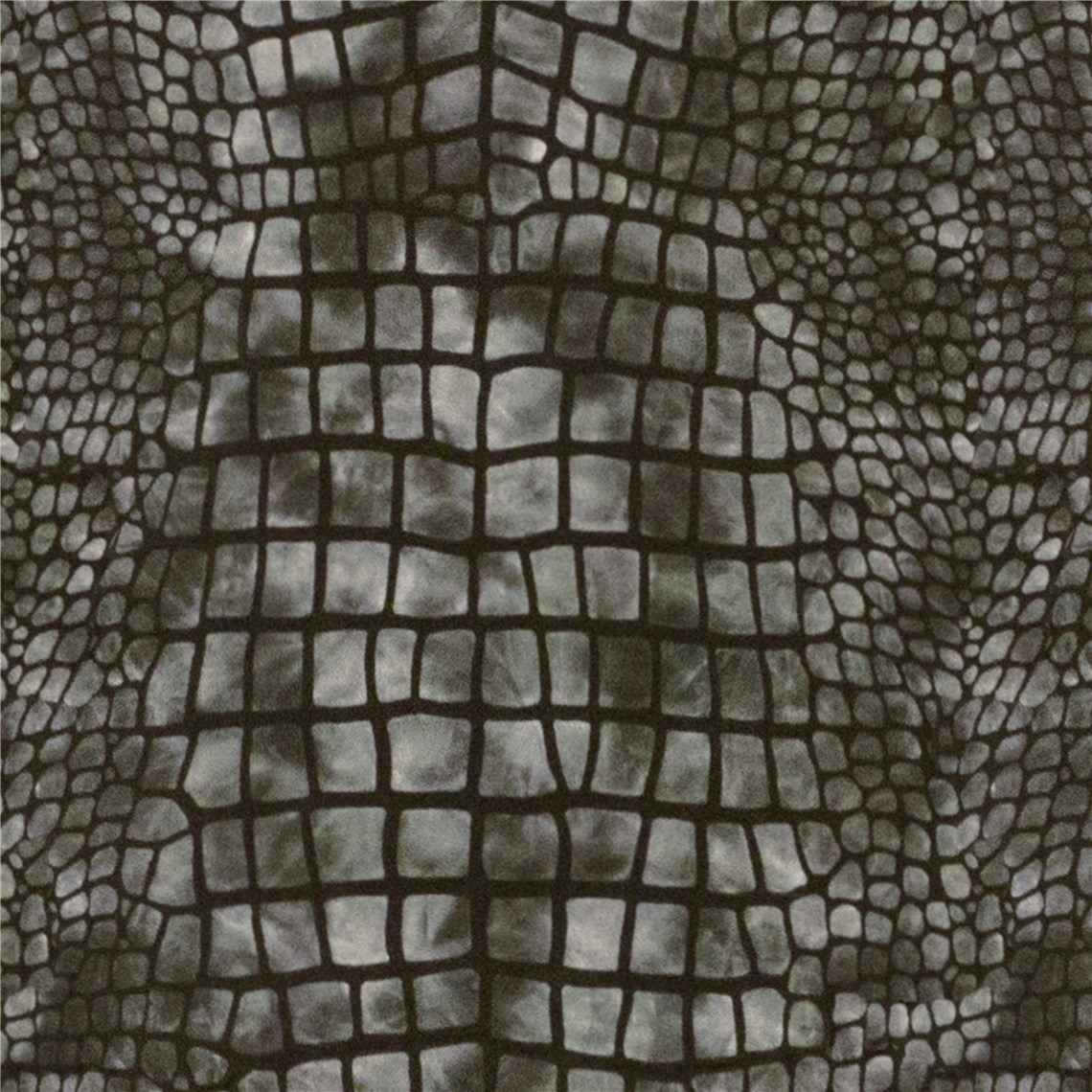 Biscayne_Orinoco