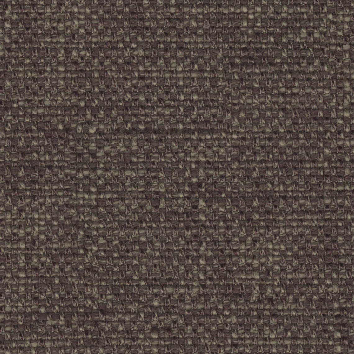 Bobbin_Sarsaparilla