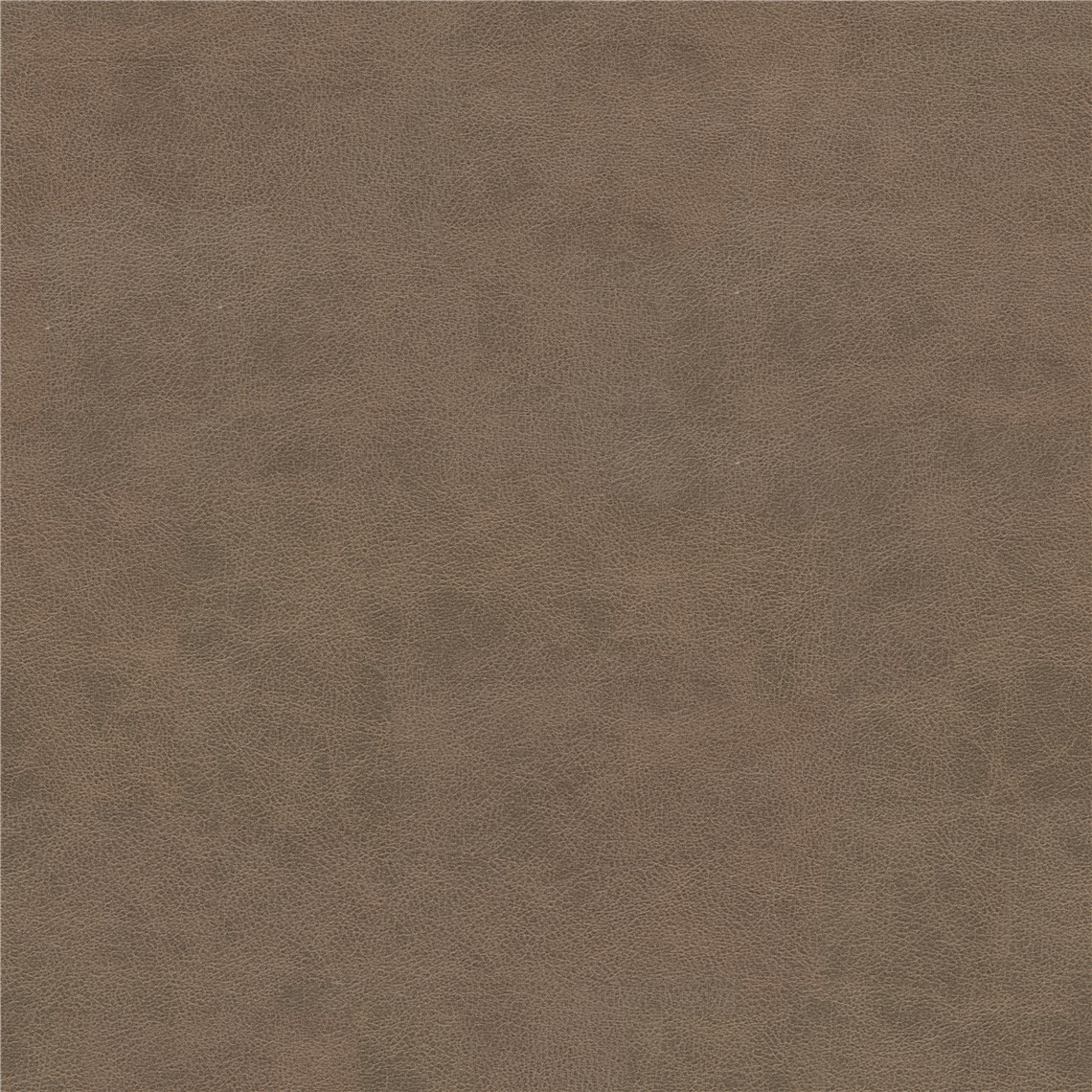 Brisco_Chocolate