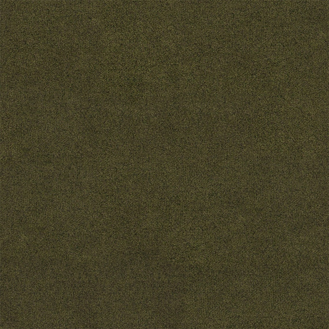 Brompton_Spinach