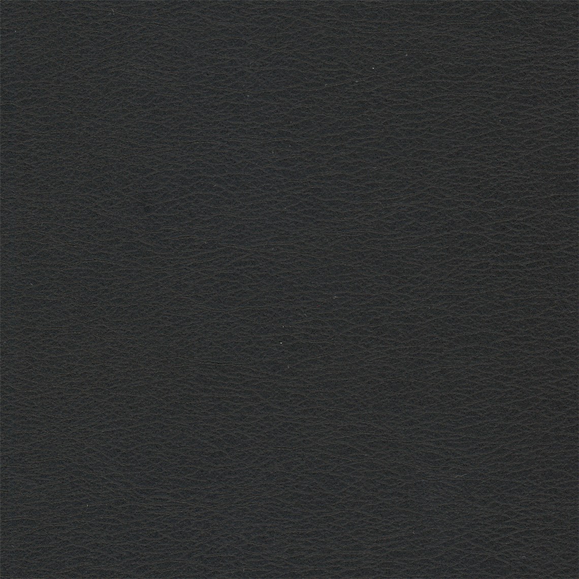 Calf_Badlands