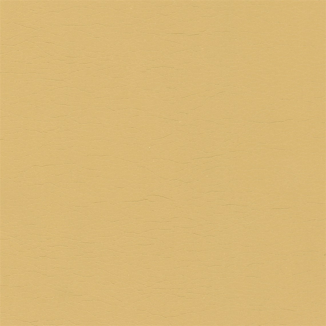 Calf_Tanned