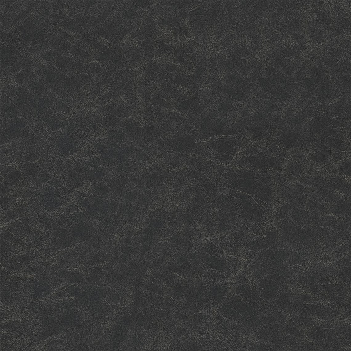 Cantina_Black