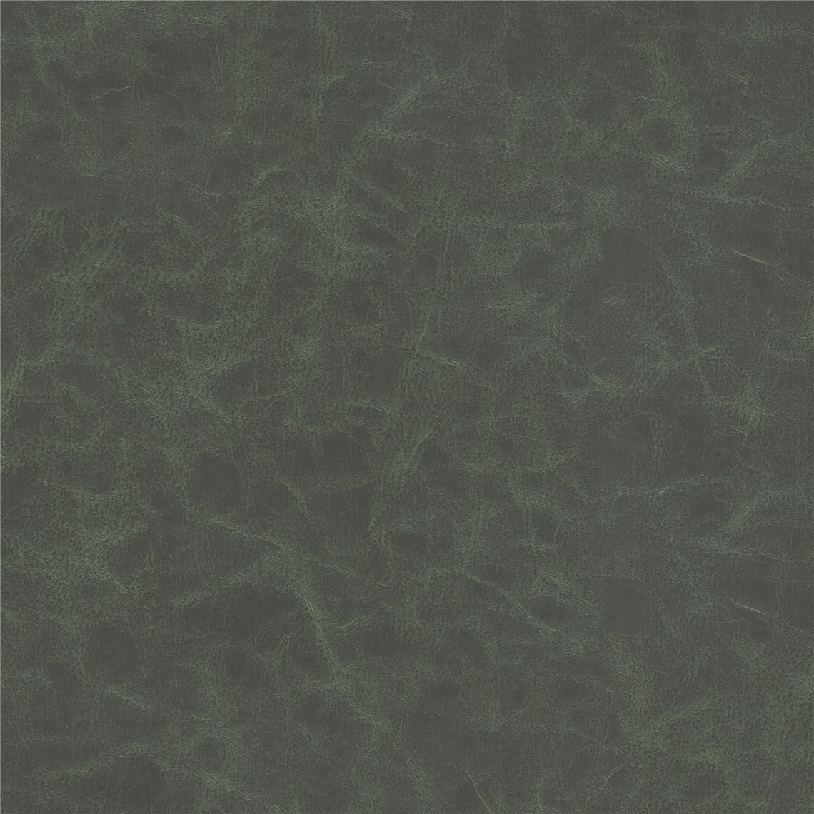 Cantina_Moss