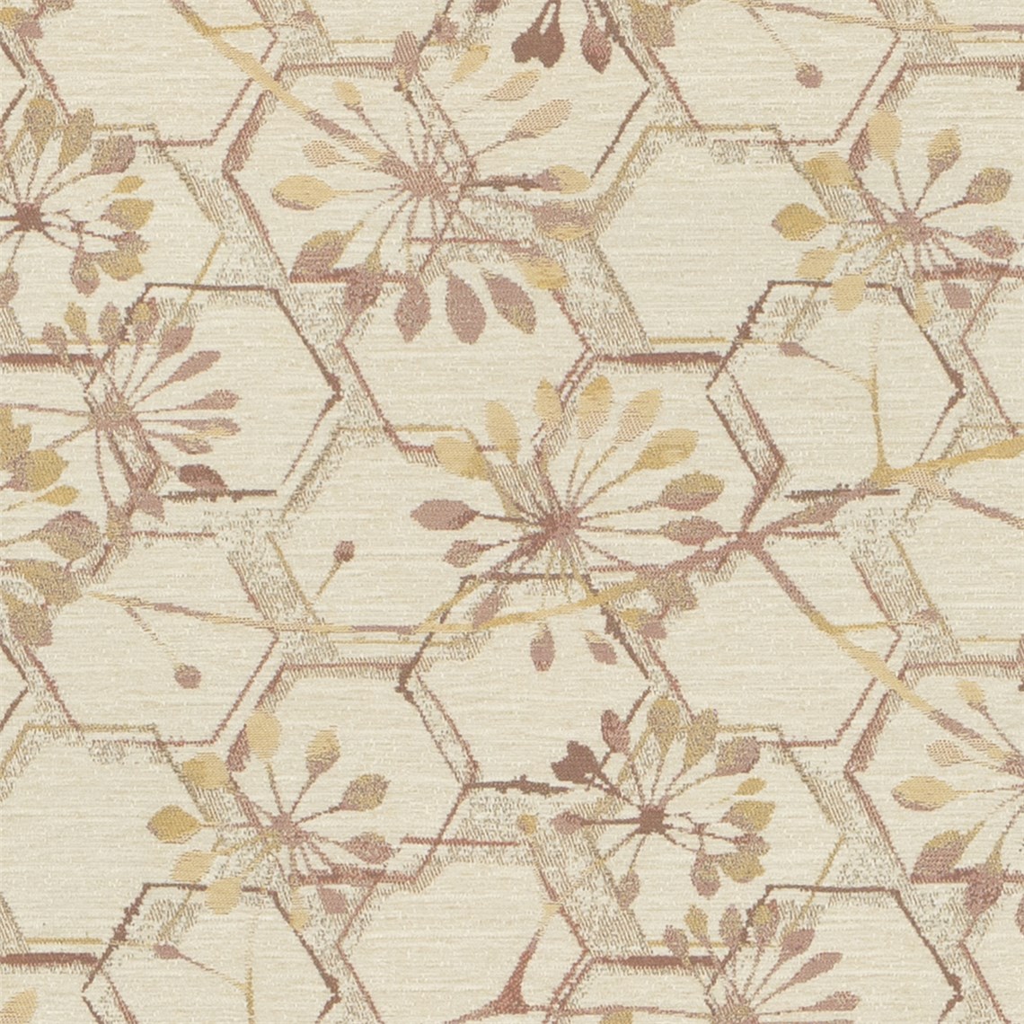 Chamomile_Warm