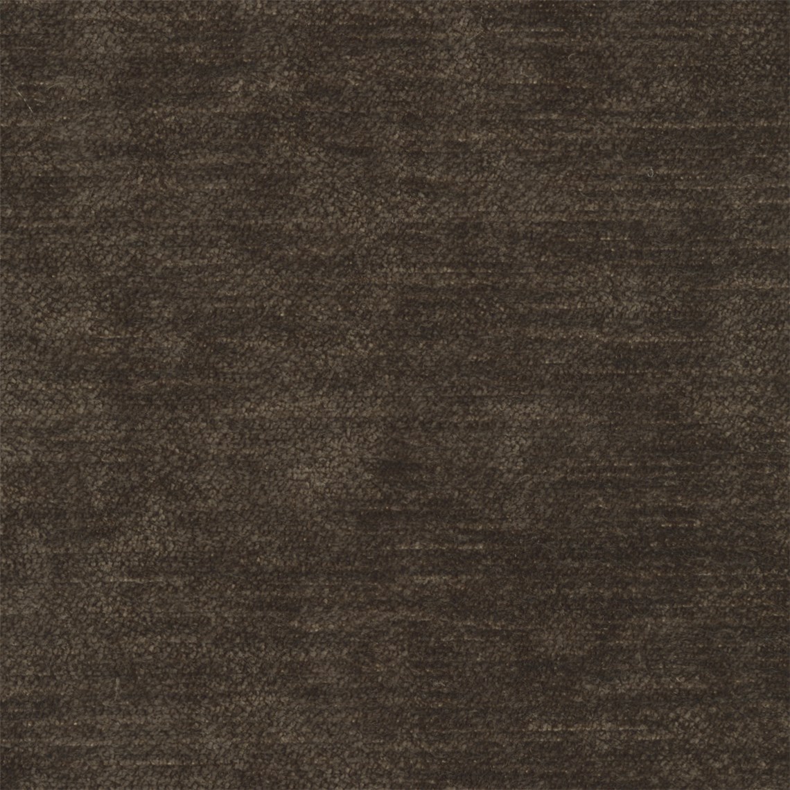 Champagne_Chestnut