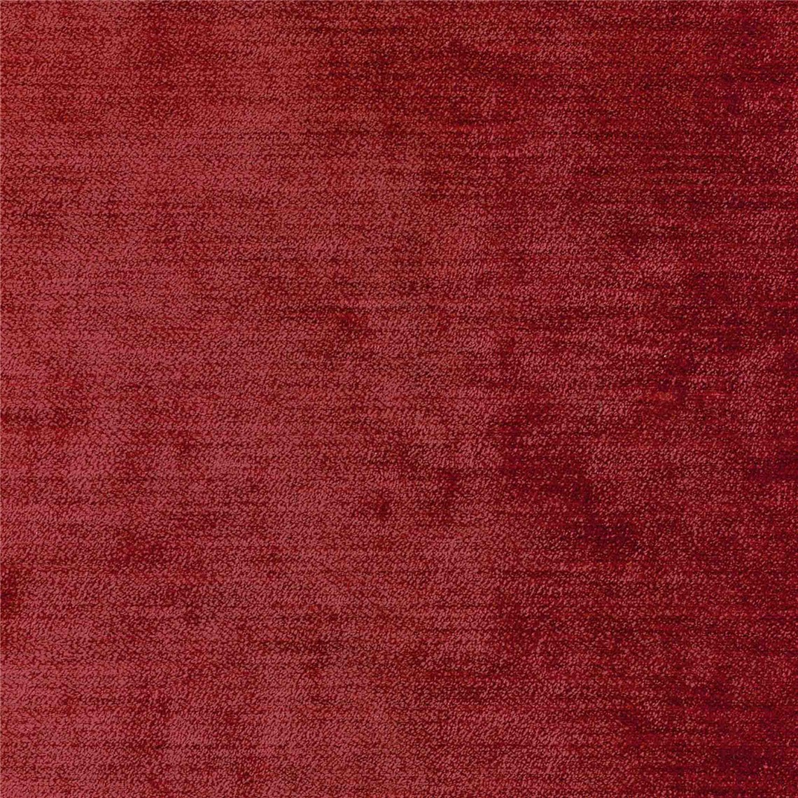 Champagne_Currant