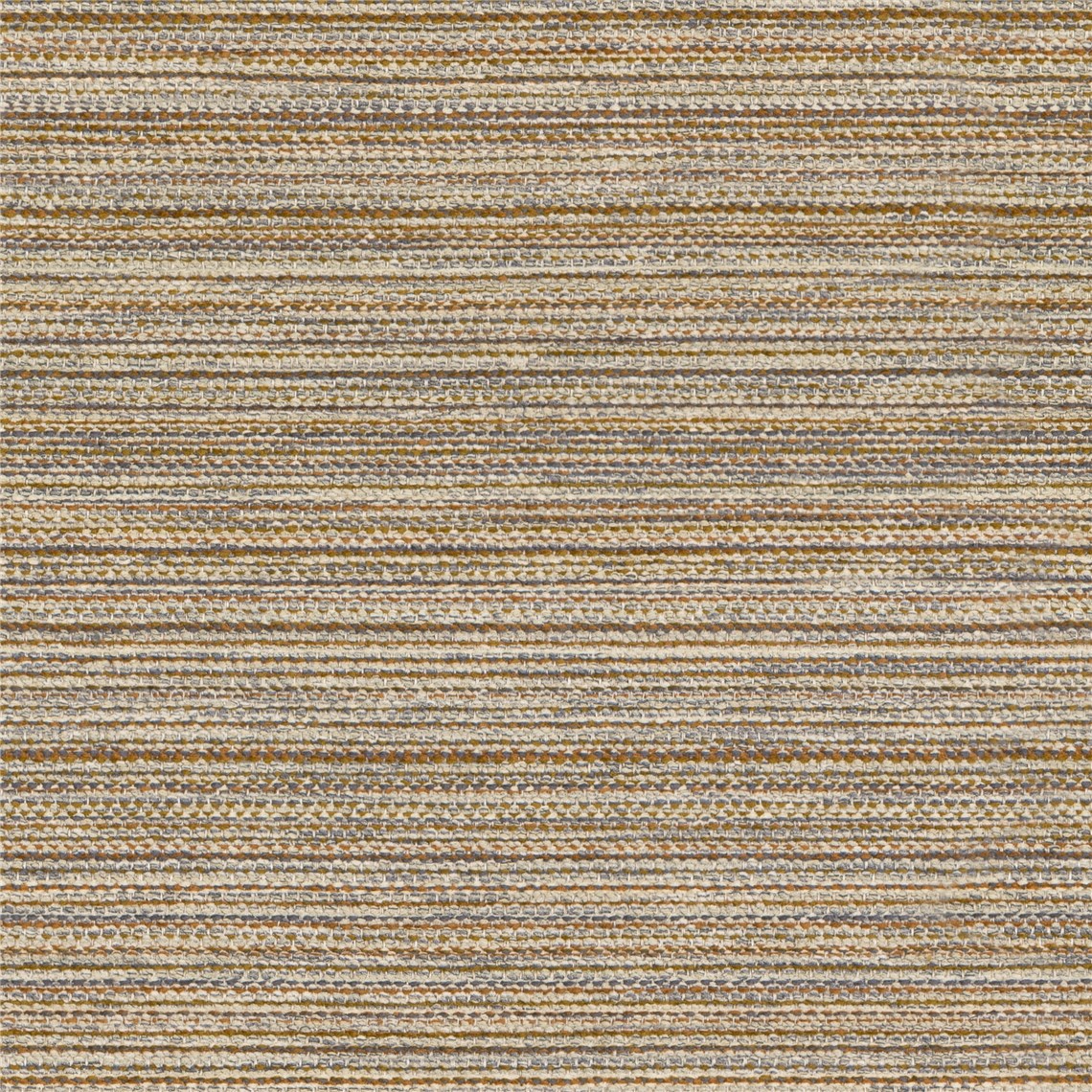 Chindi_Apricot