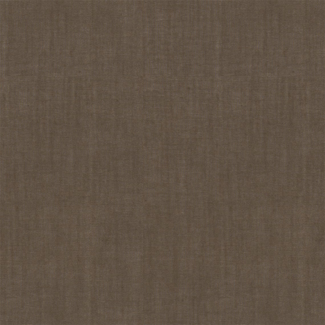 Chintzy_Nutmeg