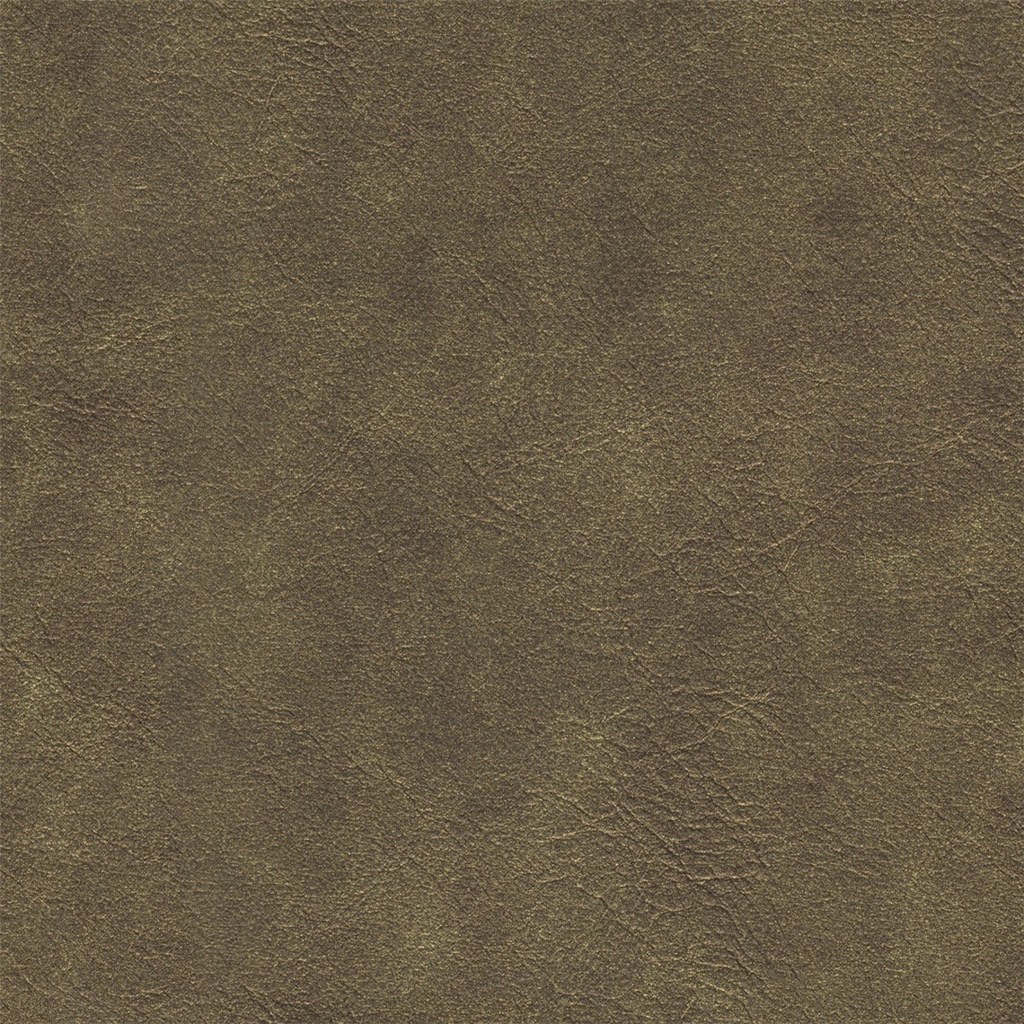 Clarita_Muddy_Gold