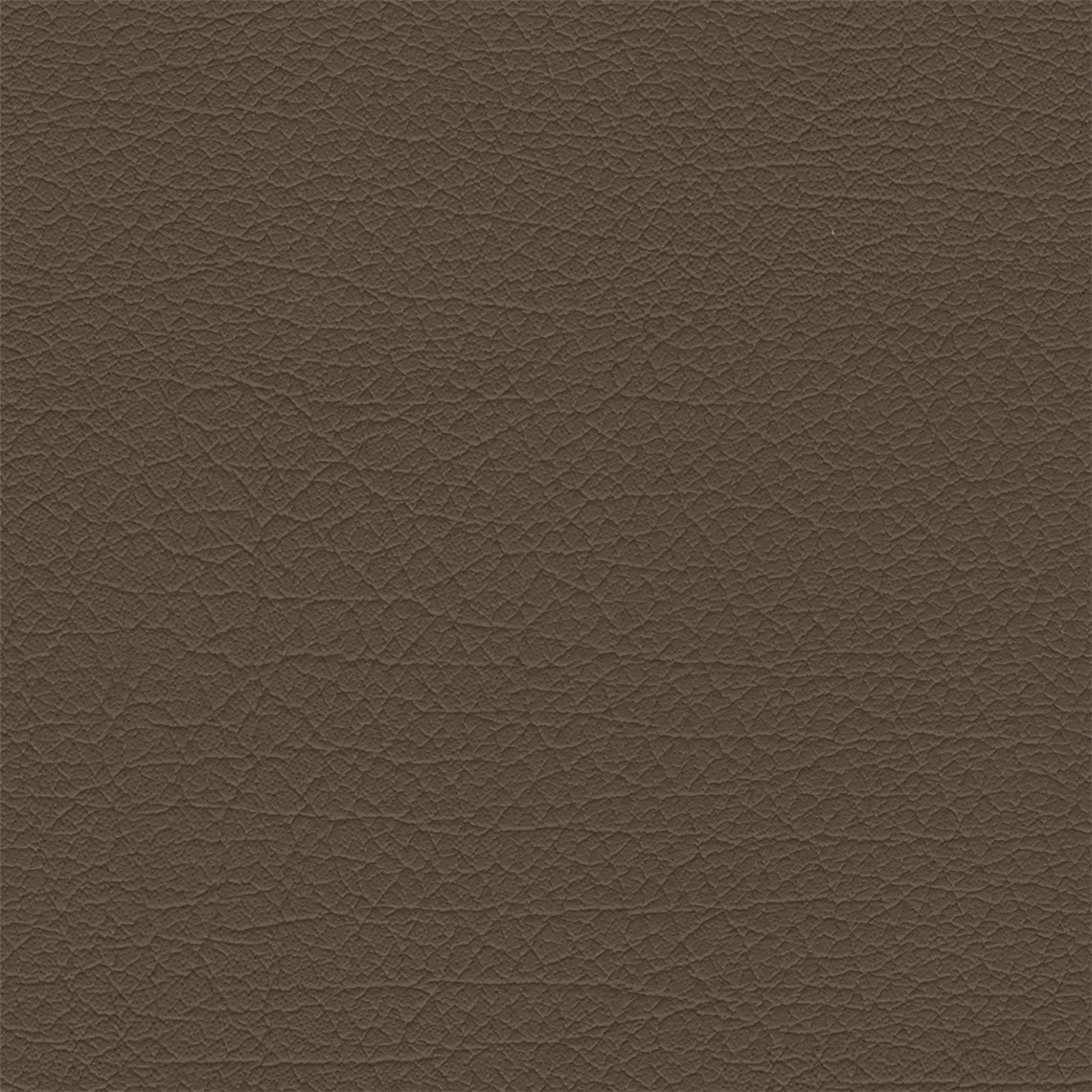 Clydesdale_Chestnut