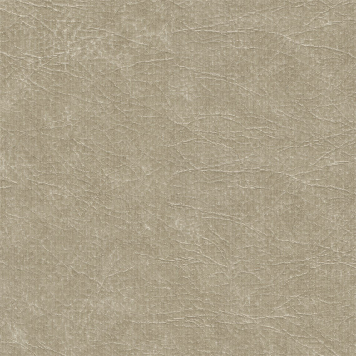 Cuero_Desert