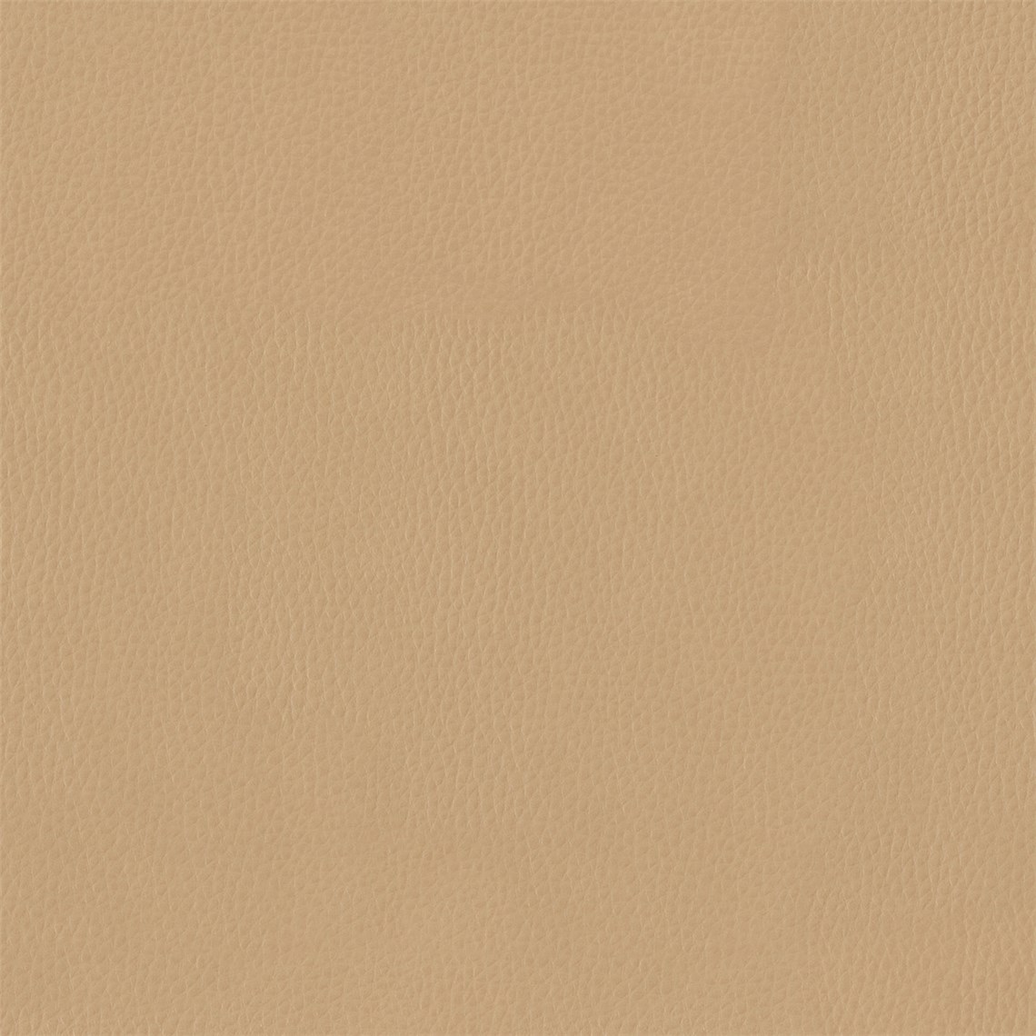 Drizzle_Cashew