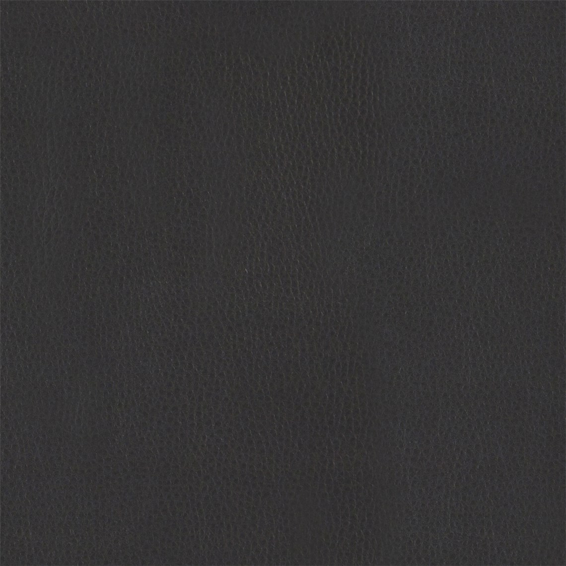Drizzle_Panther