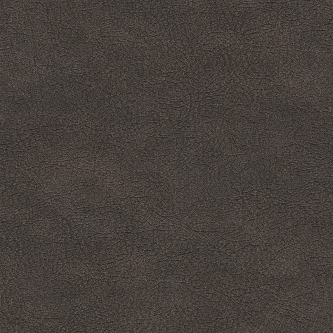 English_Leather_Otter