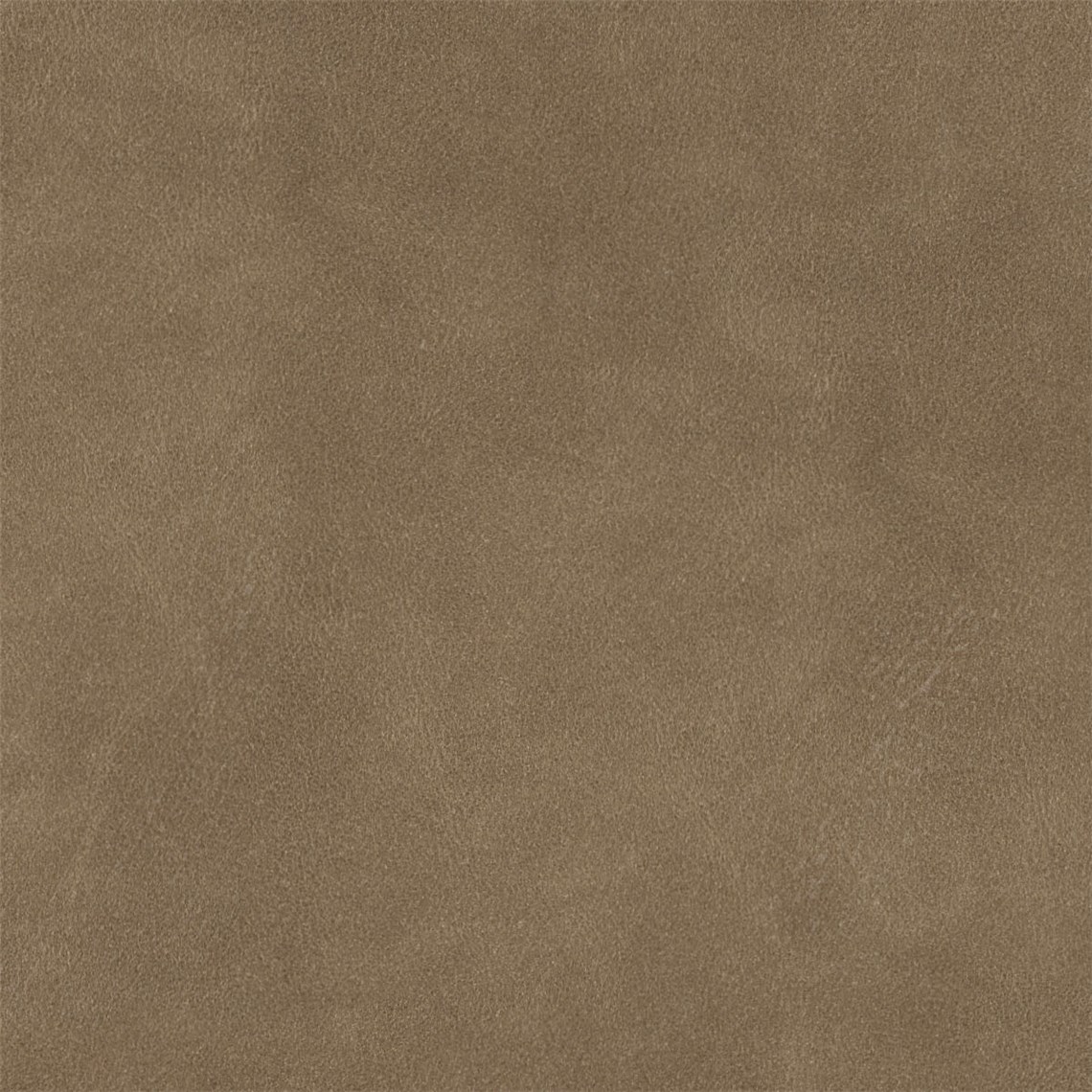 English_Suede_Prestige