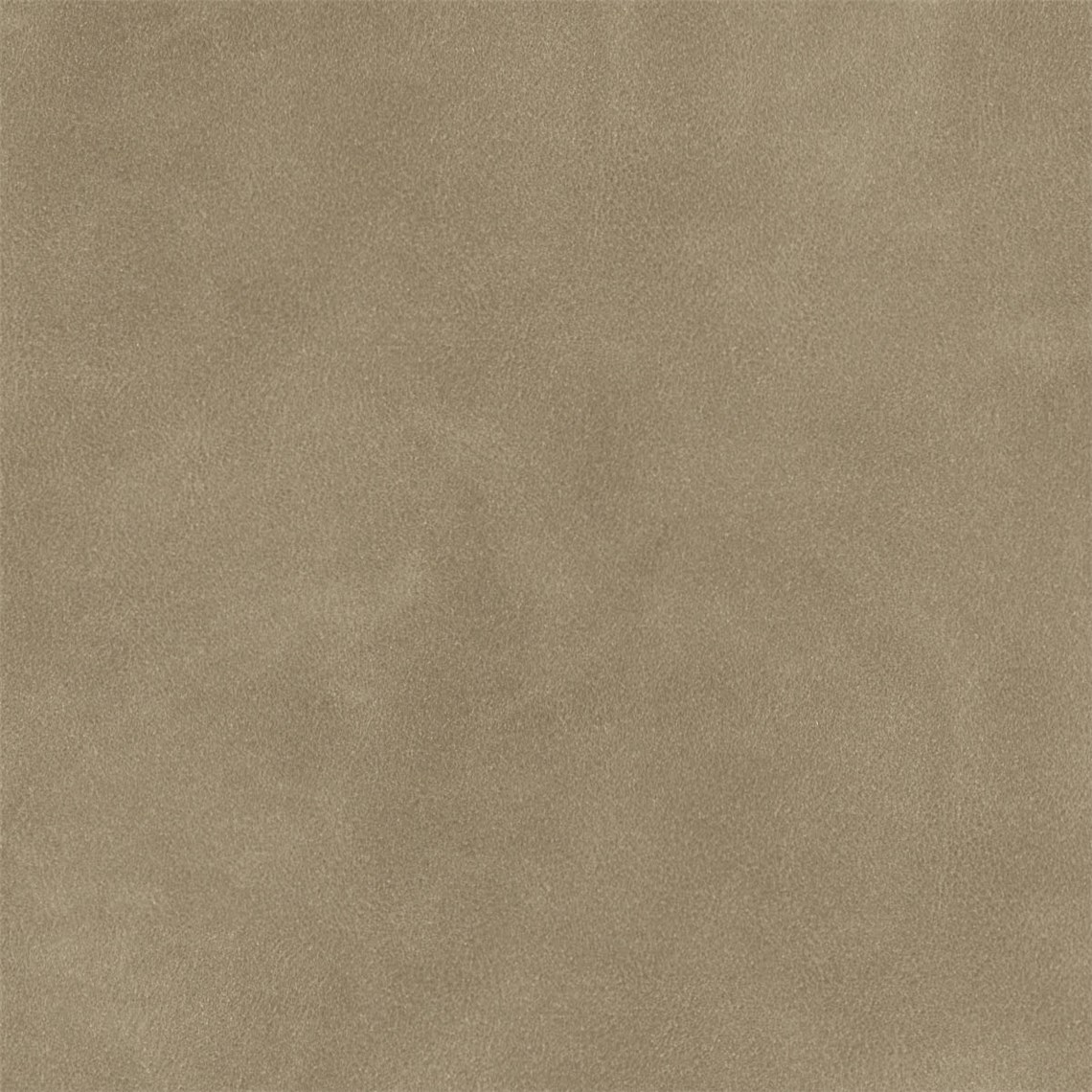 English_Suede_Trail