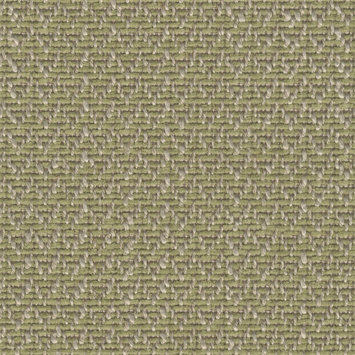 Epiphany_Fern