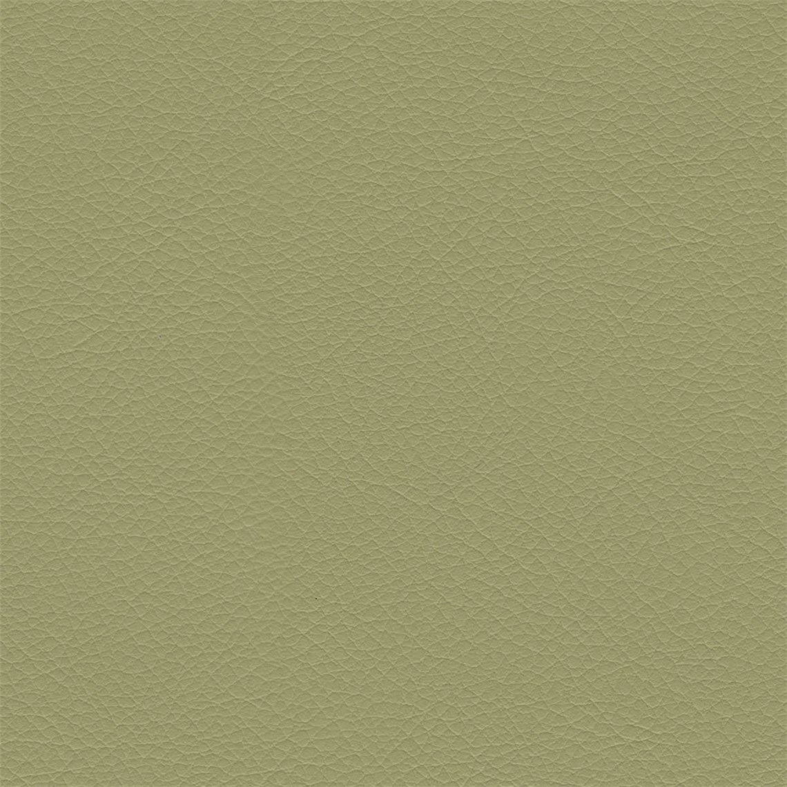 Evolution_Frequency