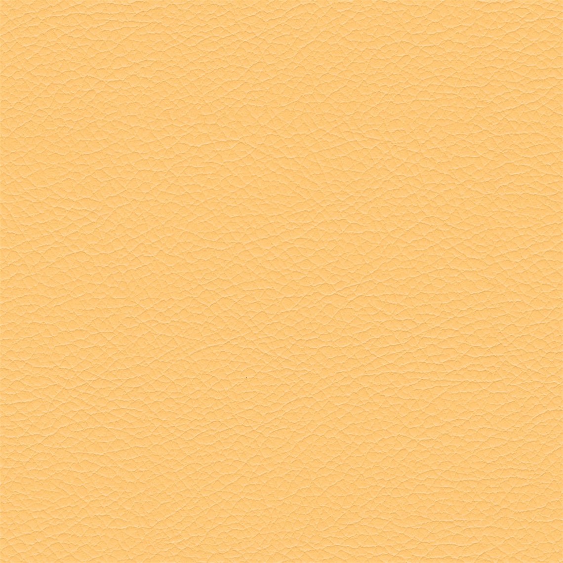 Evolution_Niche