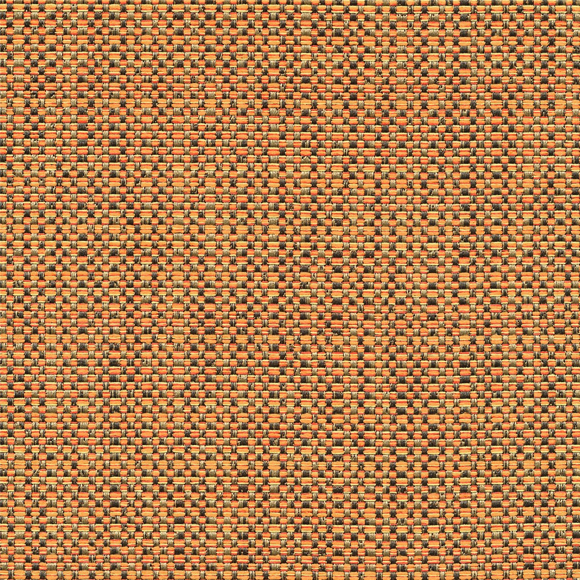 Excursion_Marigold