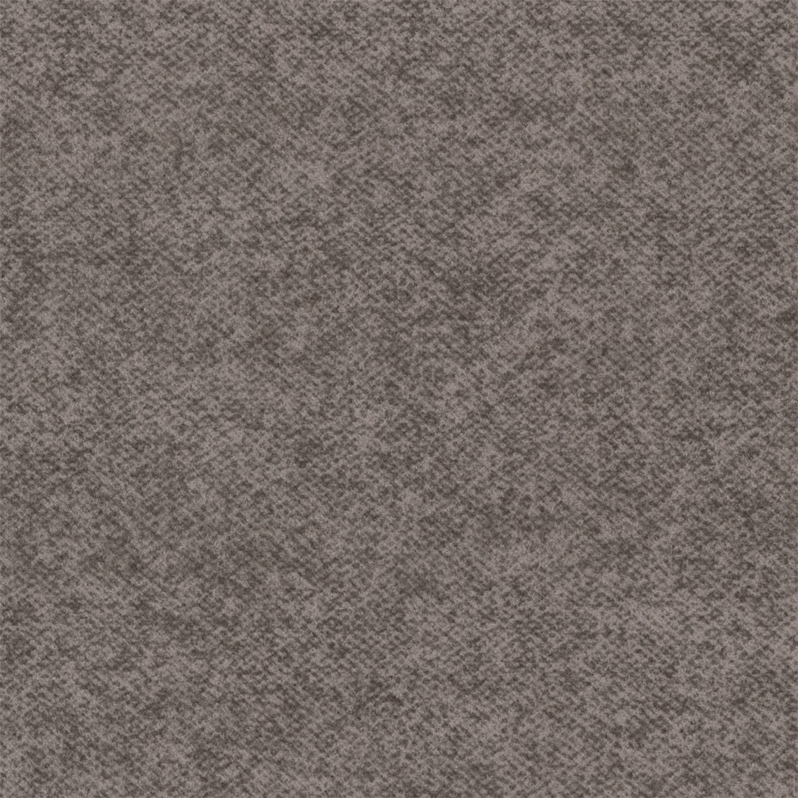 Flannela_Fossil